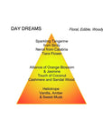 DAY DREAMS